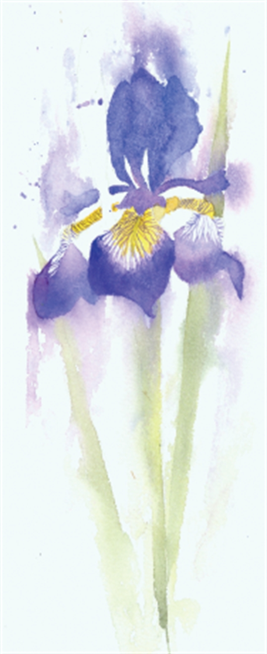530x1297 How To Paint An Iris In Watercolour With Rachel Mcnaughton