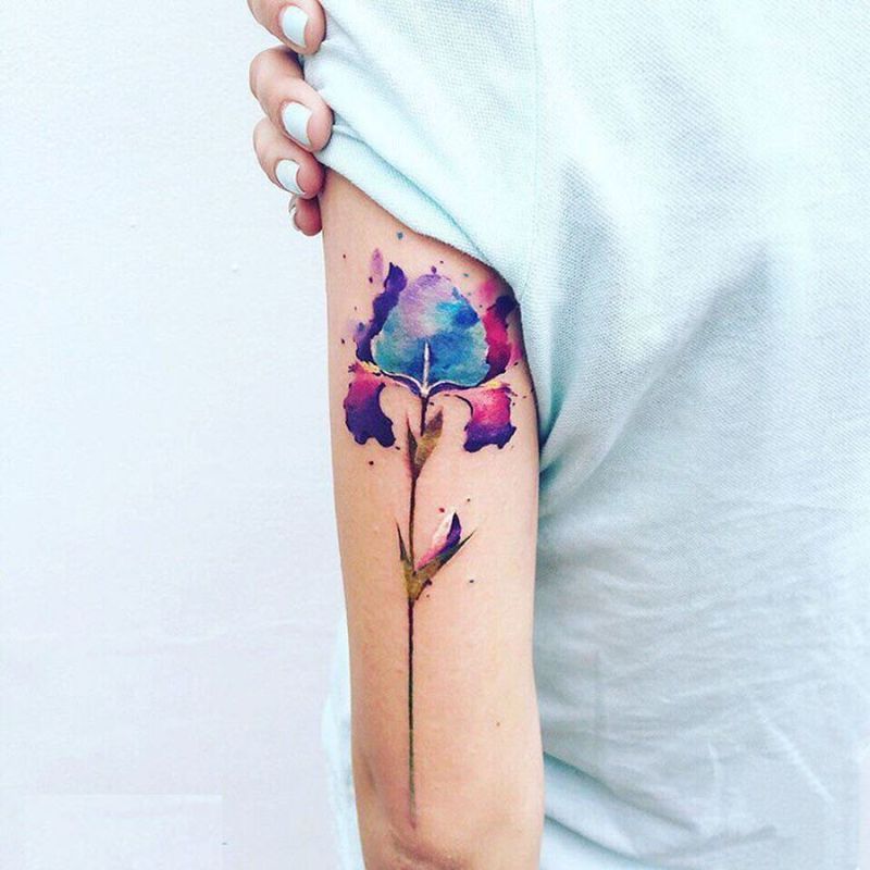 800x800 Iris Flower Tattoo By Tattoo Artist Pis Saro (3)