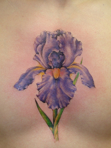 375x500 Iris Flower Tattoos