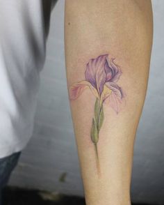 236x294 123 Best Iris Tattoo Images In 2018 Watercolour