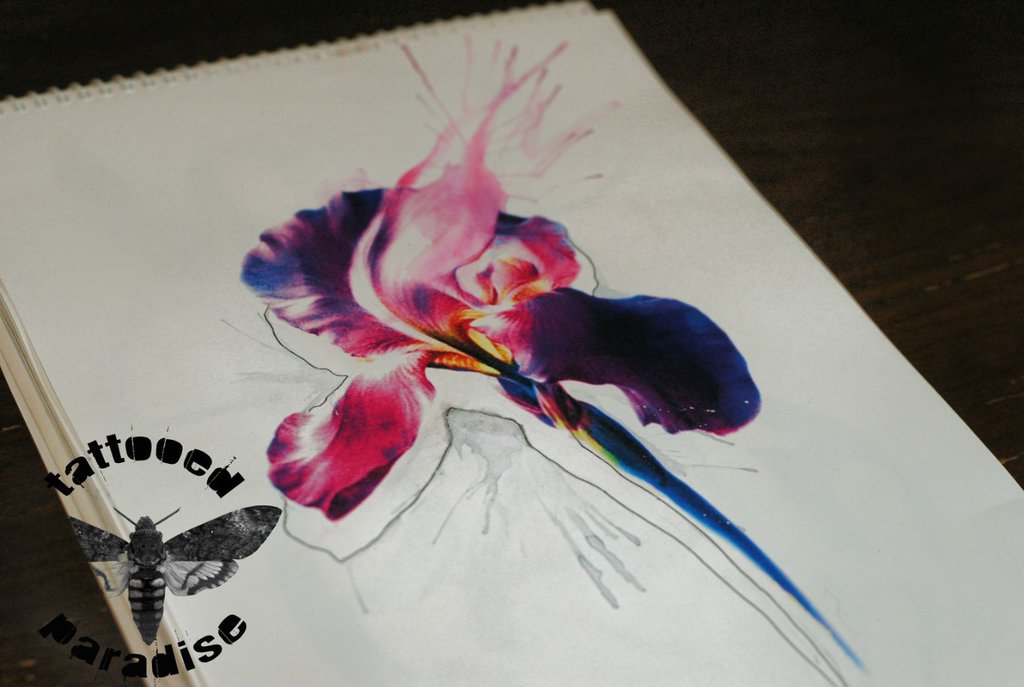 1024x687 Iris Watercolor By Dopeindulgence