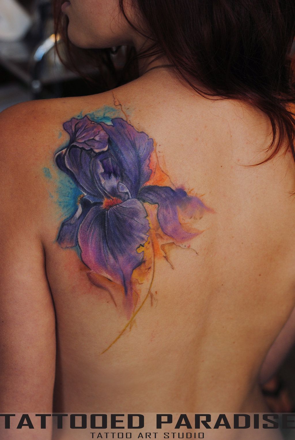 1024x1525 Pin By Dobosia92 . On Tattoos Watercolour Tattoos