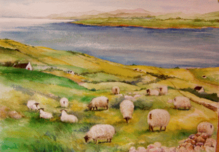 446x309 Irish Sheep Watercolors By