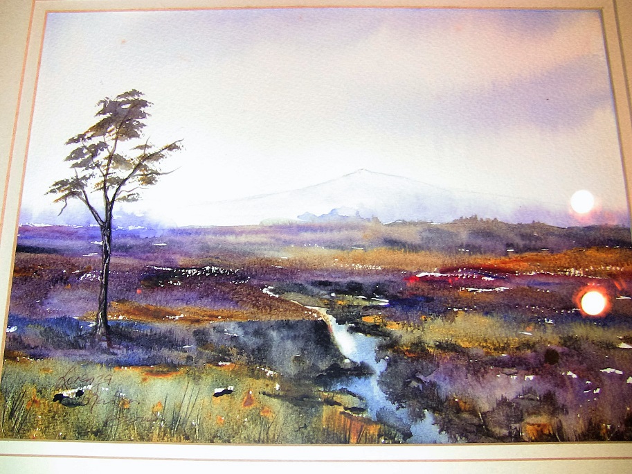 913x684 Irish Watercolor By L Burns Of Croghan Bog
