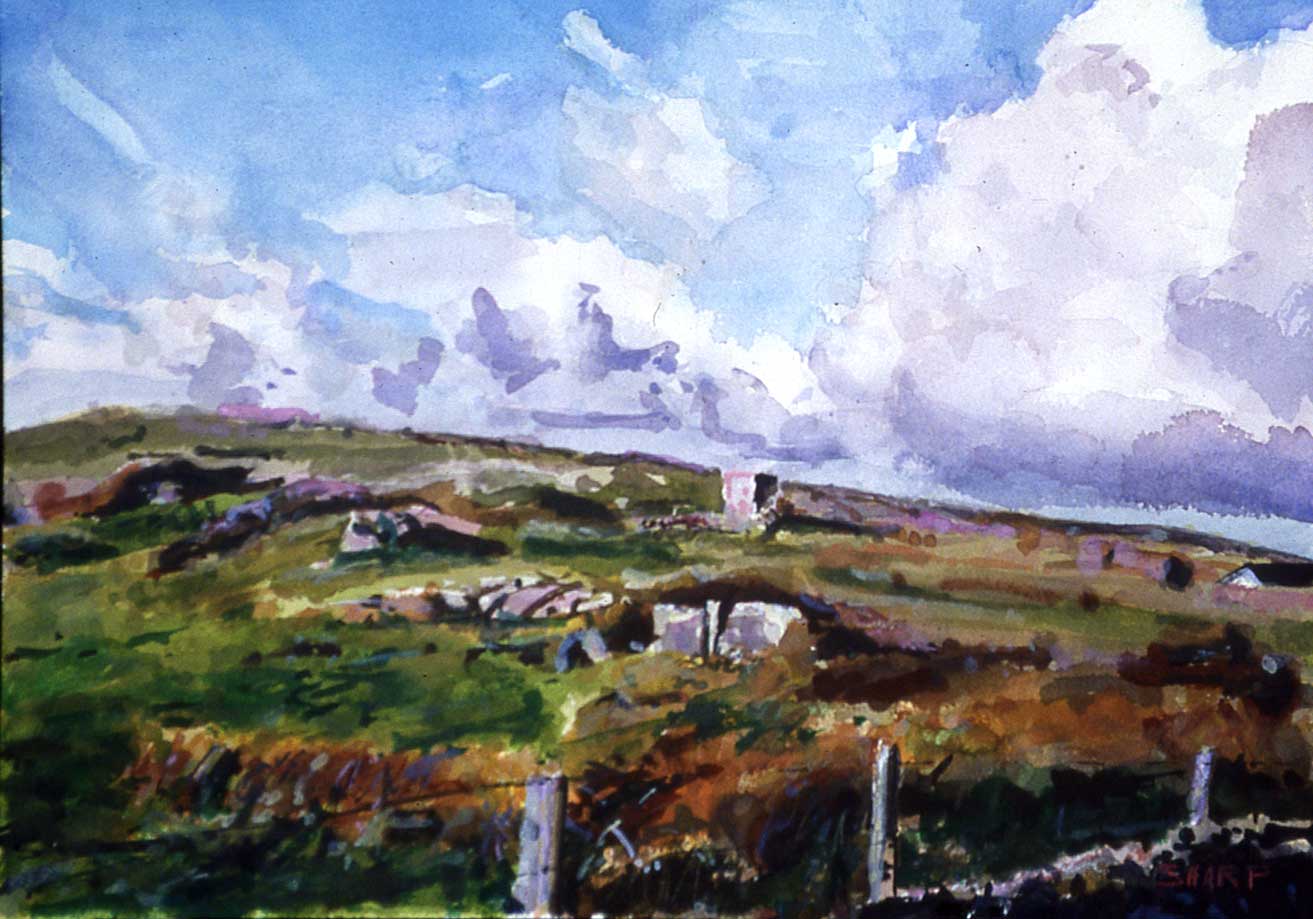 1313x919 Irish Painters