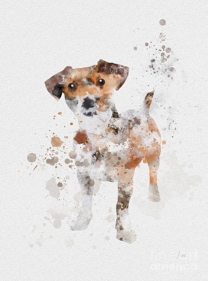 666x900 Jack Russell Terrier Mixed Media By Rebecca Jenkins
