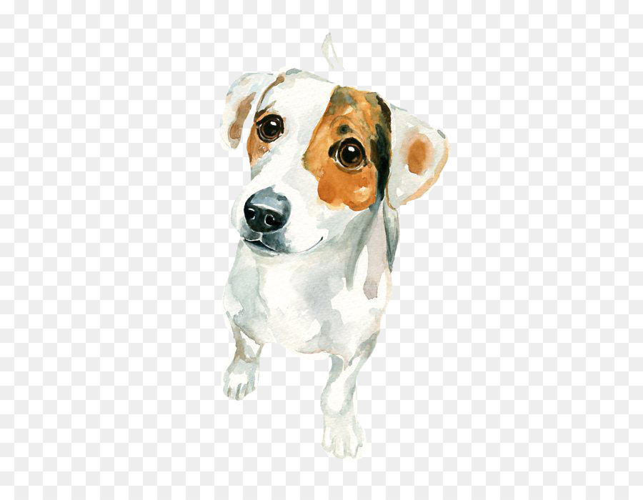 900x700 Jack Russell Terrier Watercolor Painting Art