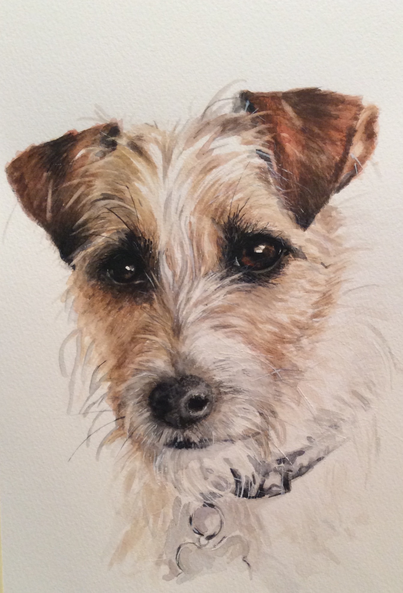1344x1978 Millie, Long Haired Jack Russell Terrier In Watercolour Judy