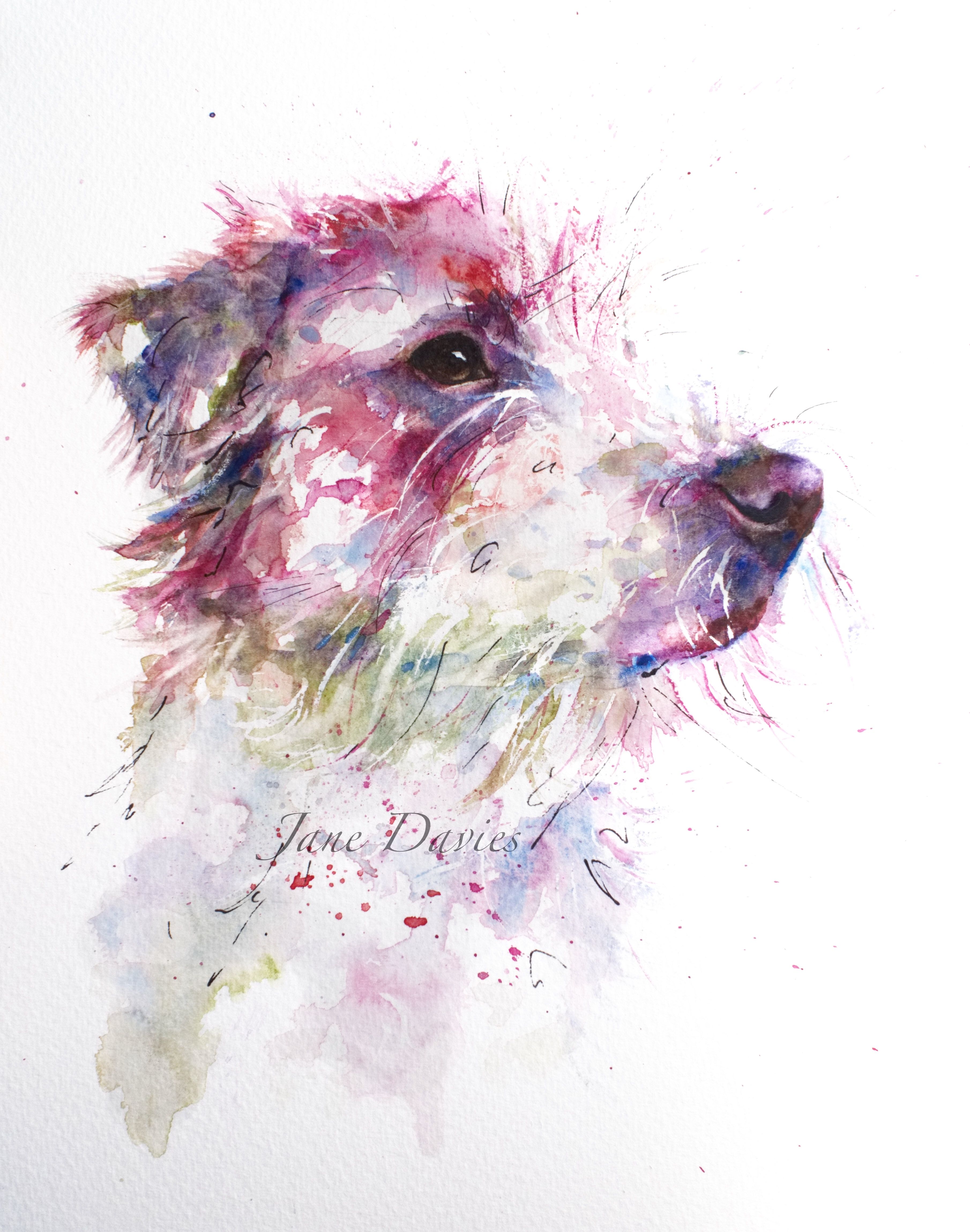 3620x4600 Pet Portrait Of A Jack Russell Painted By Watercolour Artist Jane