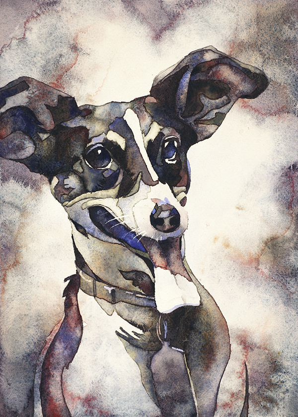 600x841 Watercolor Painting Of Jack Russell Terrier Smiling. Dog