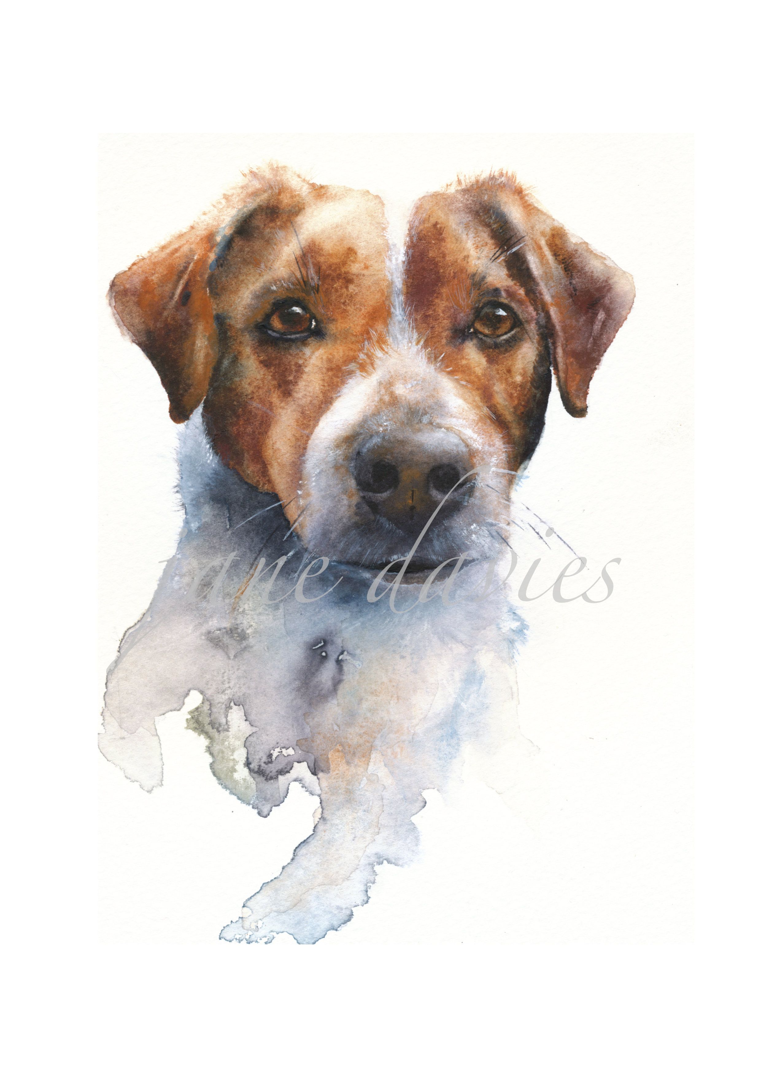 2480x3507 Jack Russell Terrier, A Watercolour Painting By Artist Jane Davies