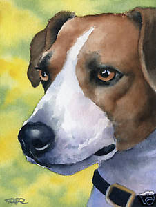 226x300 Jack Russell Terrier Art Print Dog Watercolor 8 X 10 Signed By