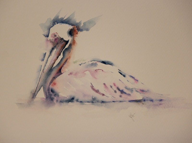 800x597 Watercolours With Life Usa Workshops Florida January 2018