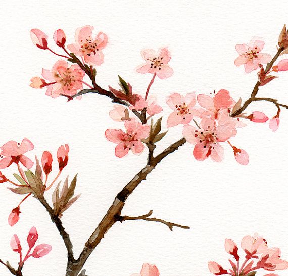 570x546 Flower Watercolor Spring Blossom Floral Art Watercolor Painting