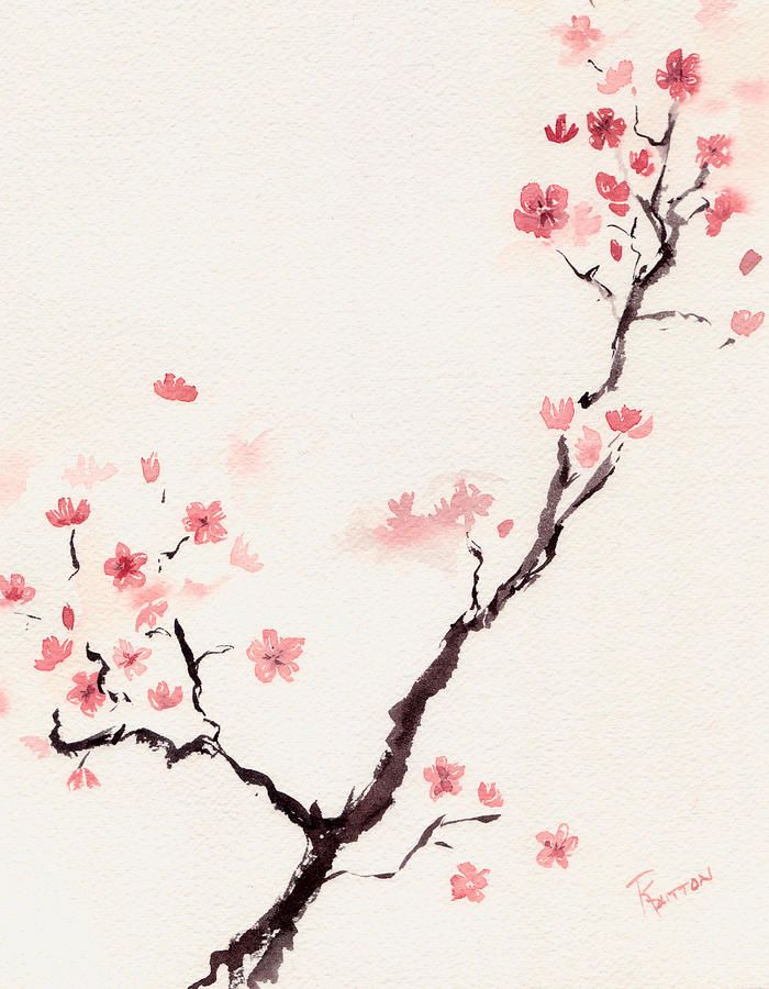 700x900 Cherry Blossom 3 By Rachel Dutton Watercolor Products I Love