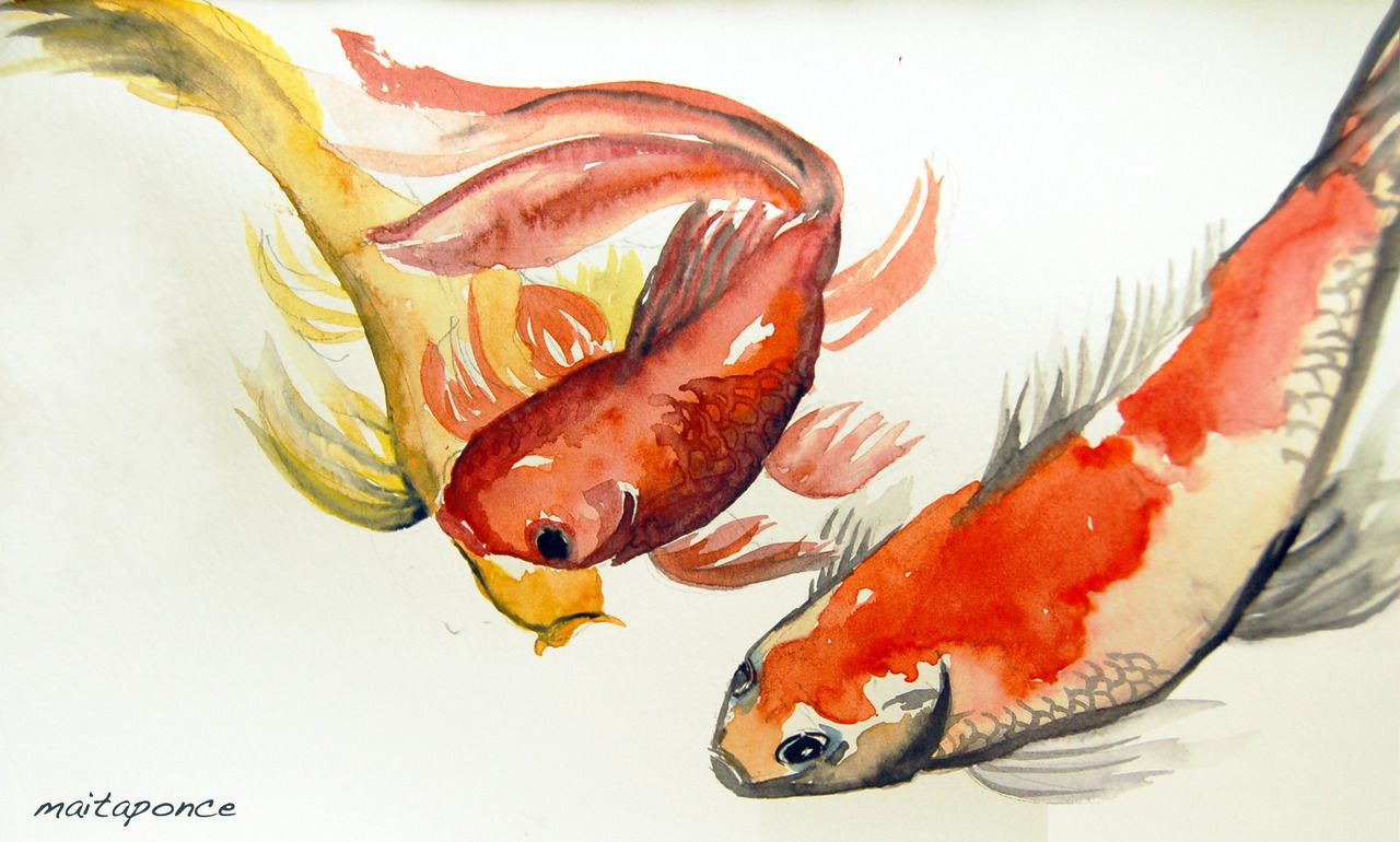 1280x770 Japanese Koi. Watercolor. The Weather Is