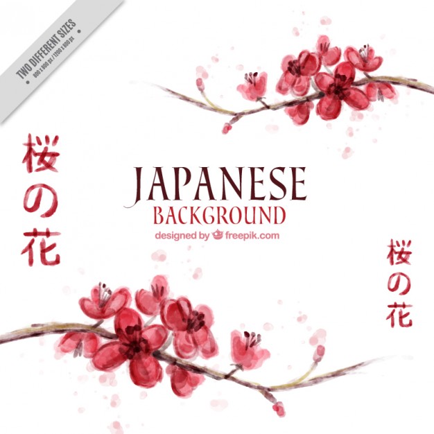 626x626 Cute Watercolor Cherry Blossom Japanese Background Vector Free