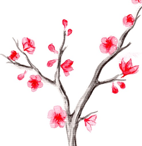 495x507 Japanese Cherry Blossoms Nailart For Funn!