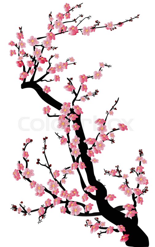 504x800 Watercolor Sakura Frame. Background With Blossom Cherry Tree