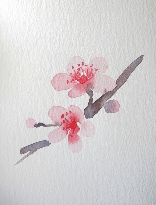500x658 Watercolor Flowers