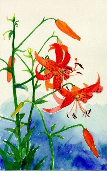 350x556 Japanese Watercolor Art Japanese Watercolor