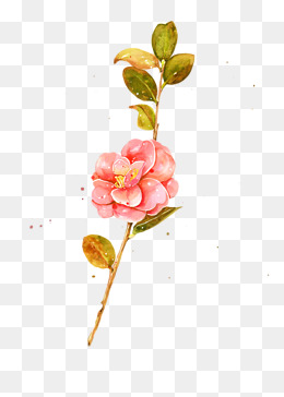 260x364 Hand Painted Watercolor Flower Png Png, Vectors, Psd, And Clipart