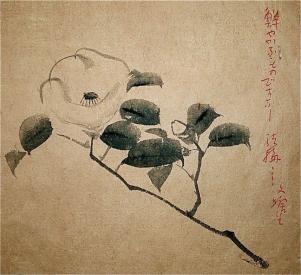 301x275 Busacca Gallery