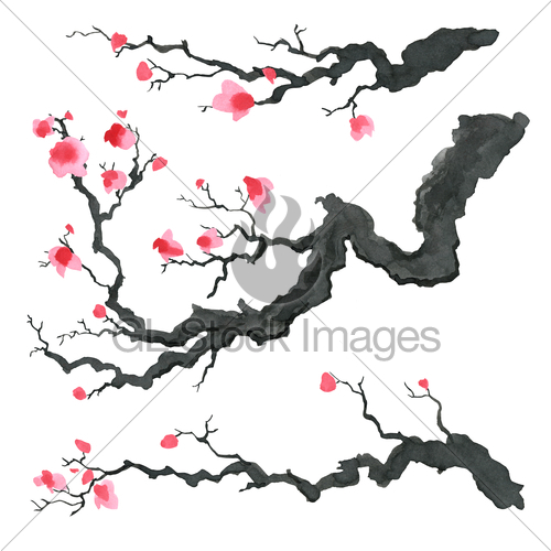 500x500 Sakura Tree In Japanese Style. Watercolor Hand Painting I... Gl
