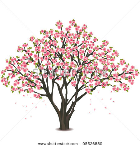 450x470 Cherry Tree Clipart Watercolor
