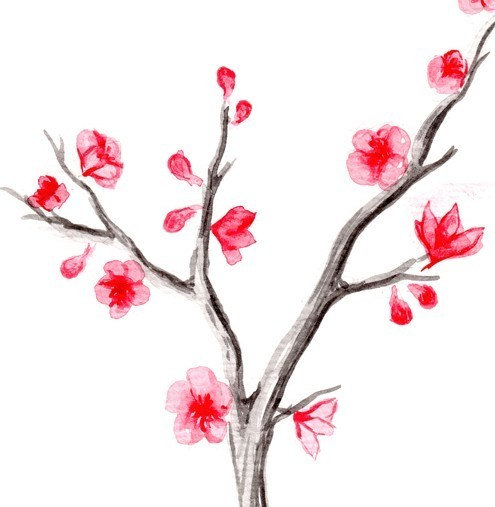 495x507 Drawn Sakura Blossom Japanese Plant Free Collection Download And