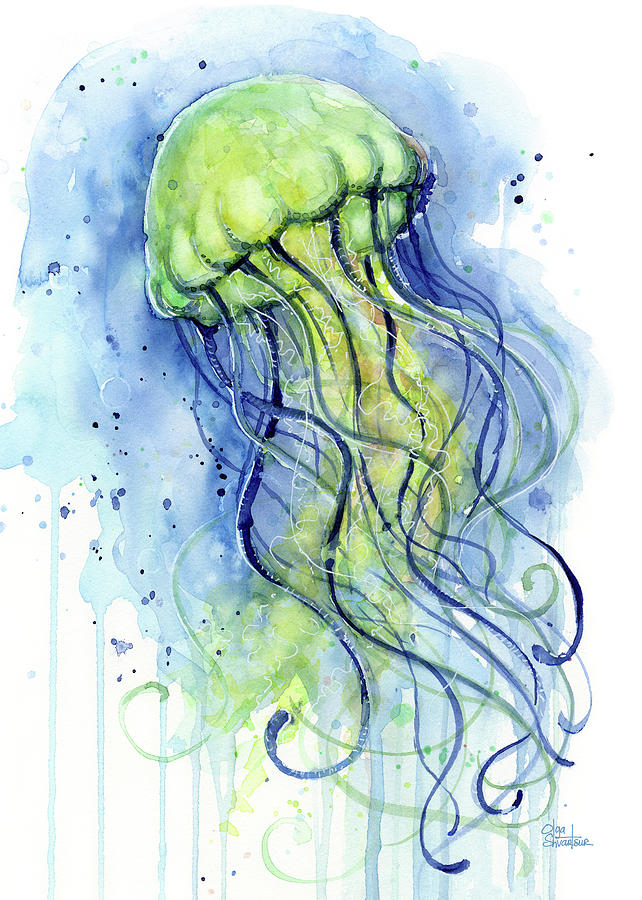 642x900 Jellyfish Watercolor Painting By Olga Shvartsur