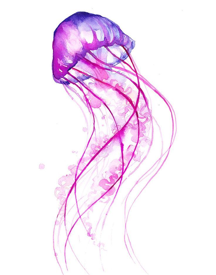 736x936 Image Result For Jellyfish Tattoos Tats Tattoo