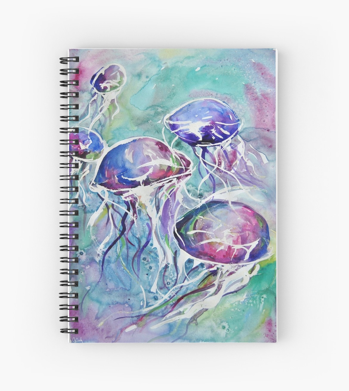 1171x1313 Jellyfish