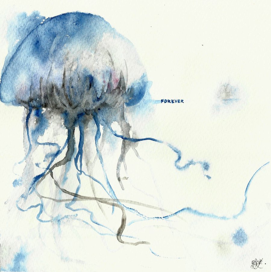 900x902 Jellyfish Painting Watercolor