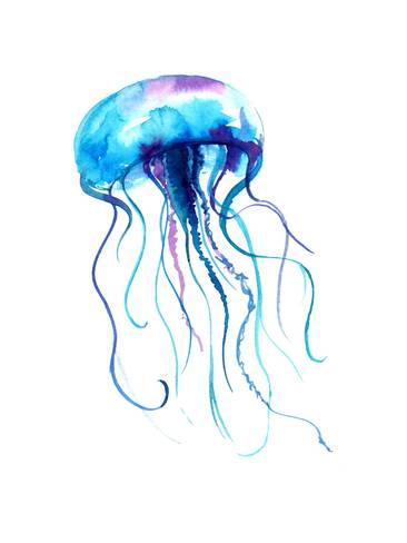 366x488 Jellyfish Watercolor Illustration. Medusa Painting Isolated On