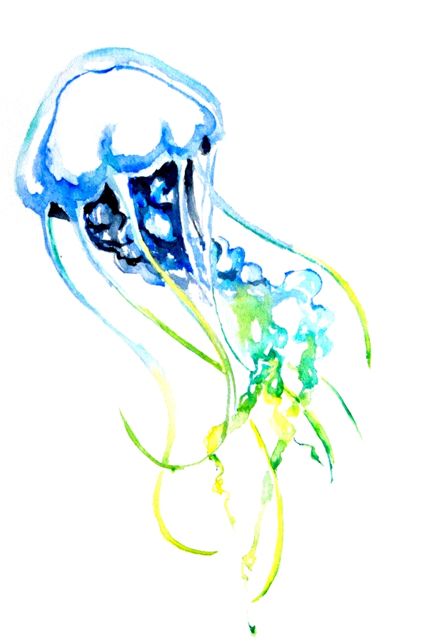 594x900 Jellyfish Watercolor Painting
