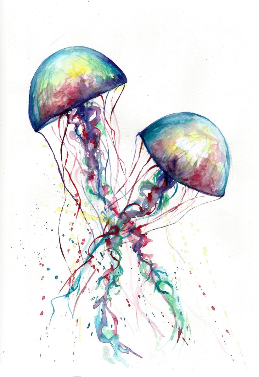 823x1200 Jellyfish Watercolour (Natalja Picugina)