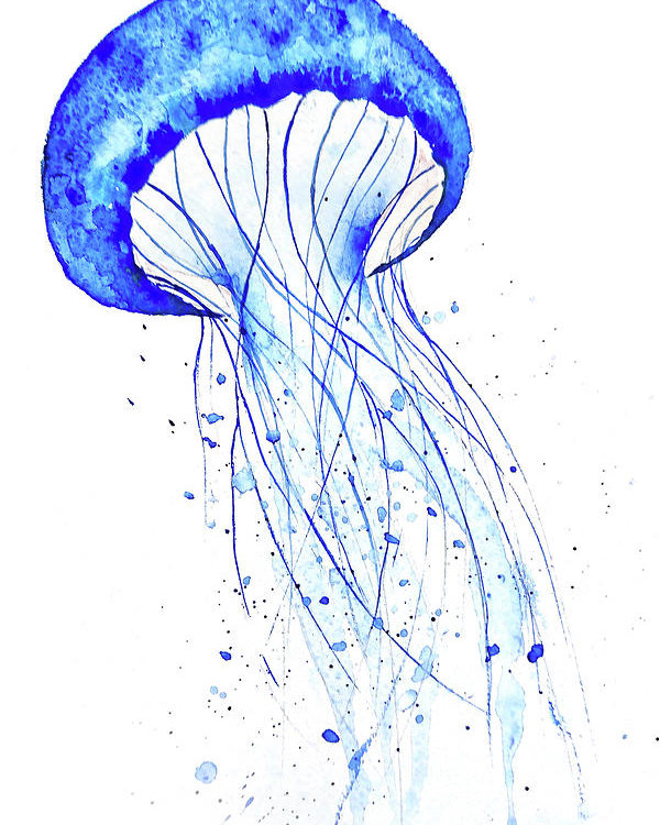 600x750 Blue Jellyfish Watercolor Poster By Color Color