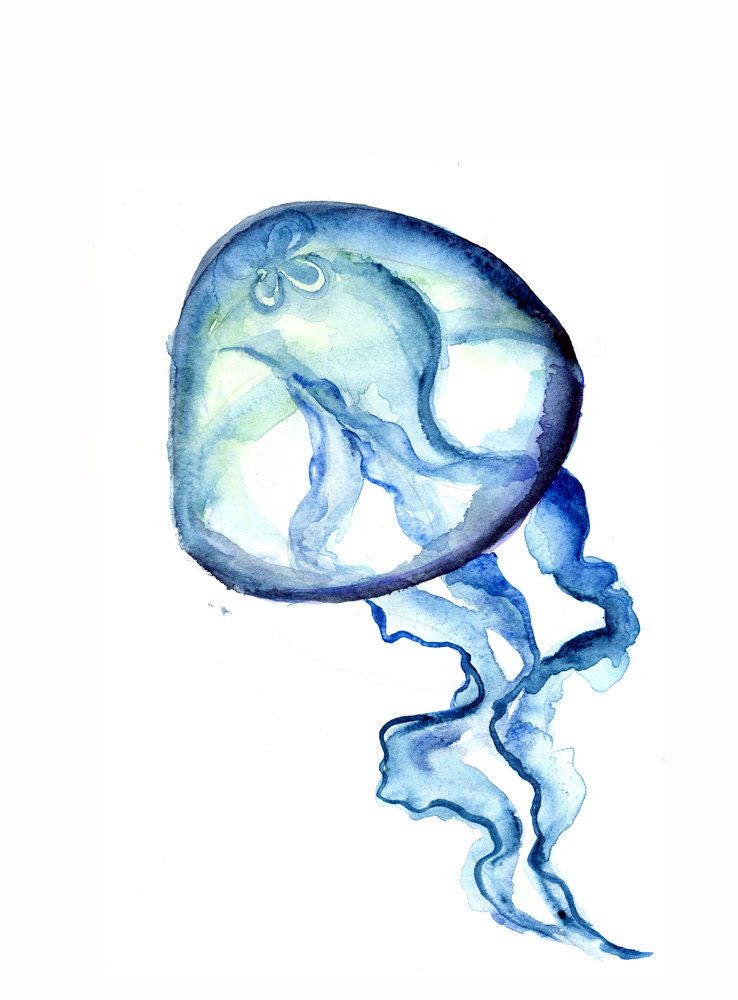 738x1000 Raachelwolfee Artistic Jellyfish