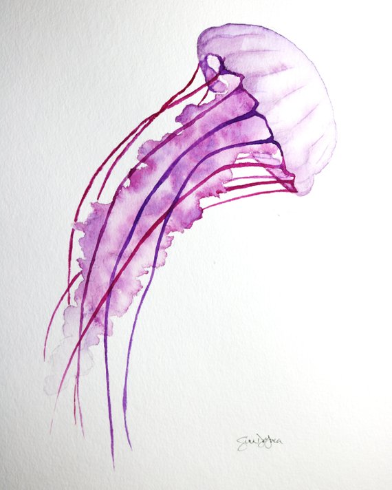 570x712 Purple Jellyfish Watercolor Painting Etsy