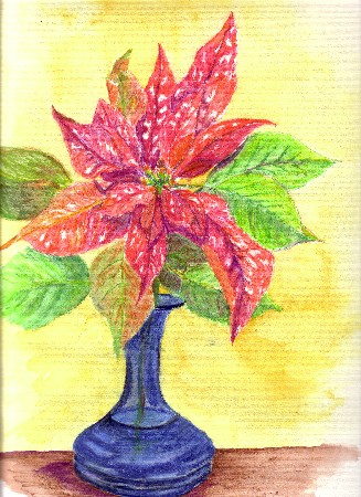 327x450 Jingle Bells Poinsetta Watercolor Pencils