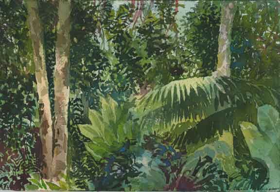 Jungle Watercolor at GetDrawings | Free download