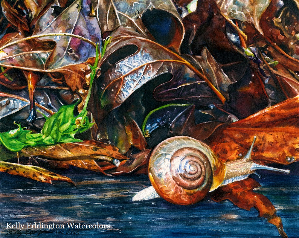 1000x796 Step By Step Kelly Eddington Watercolors