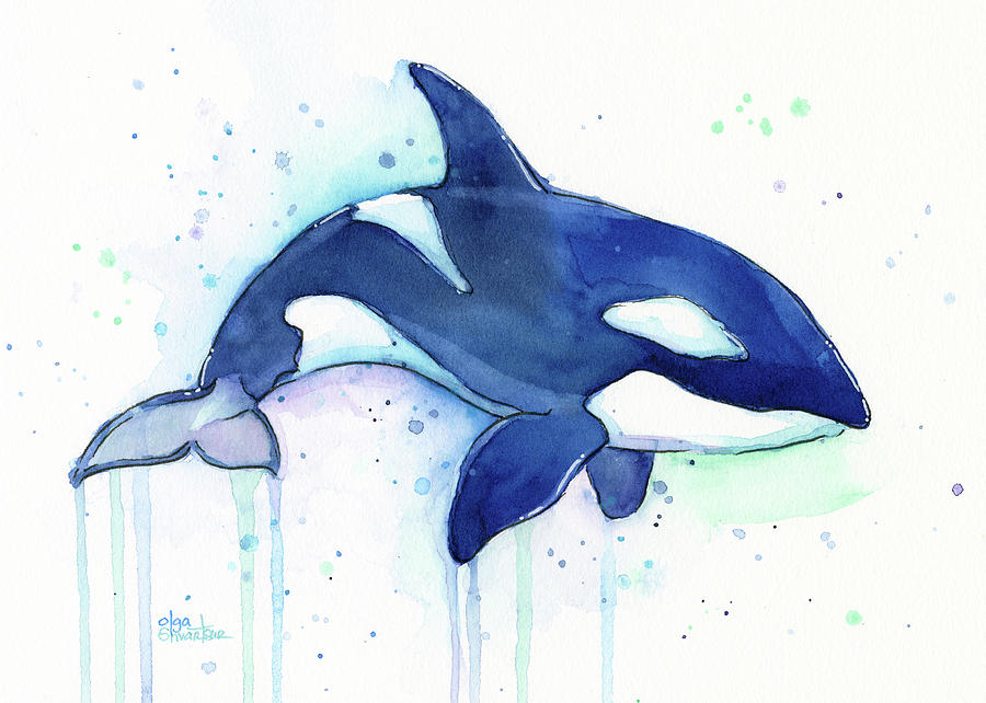 900x642 Orca Whale Watercolor Killer Whale Facing Right Painting By Olga