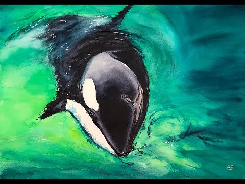 480x360 Watercolor Killer Whale Painting Tutorial