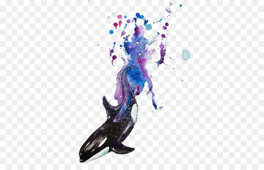 900x580 Watercolor Painting Killer Whale Art