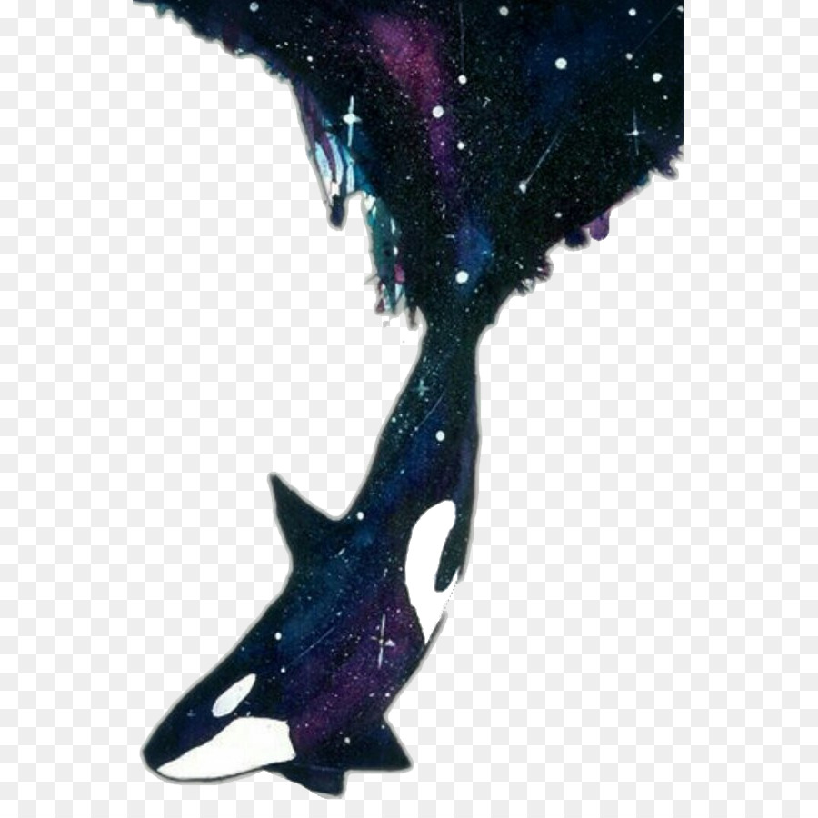 900x900 Watercolor Painting Killer Whale Drawing Art