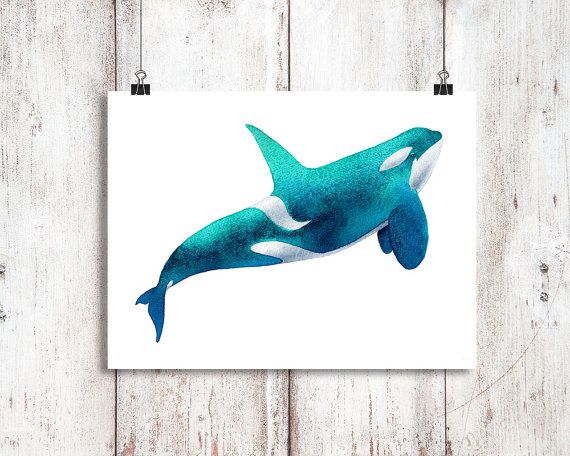 570x456 Green And Blue Killer Whale Watercolor Print
