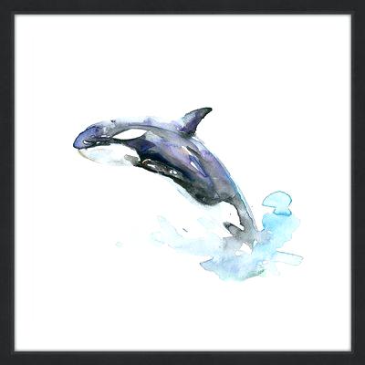 400x400 Killer Whale By Framed Painting Print Watercolor Art Daisy Seal
