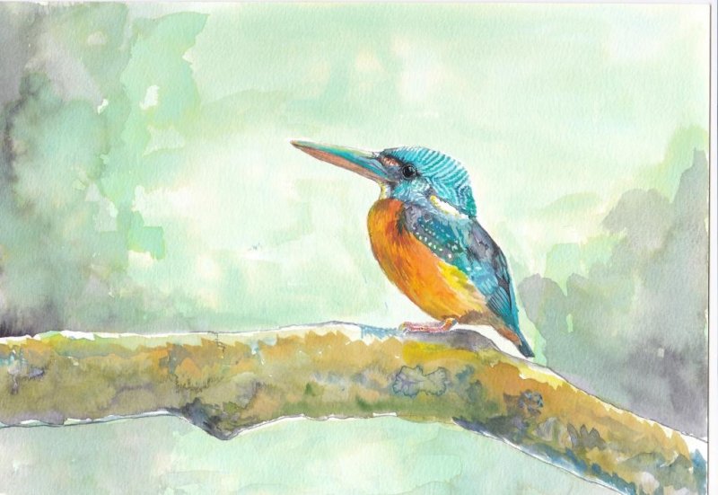 800x551 Blue Eared Kingfisher By Artist Yashodan Heblekar Animals Art